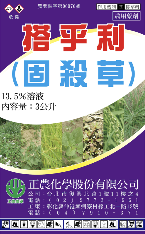 搭乎利